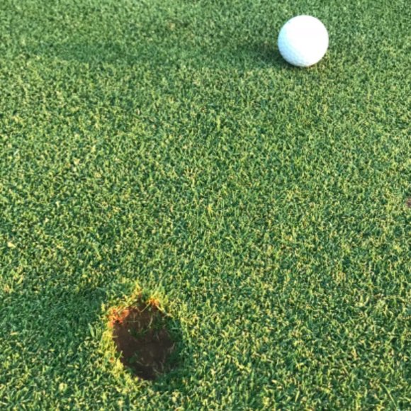 Meet your Posher, Chaston - Picture 16 of 16